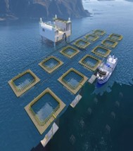智慧海洋牧场